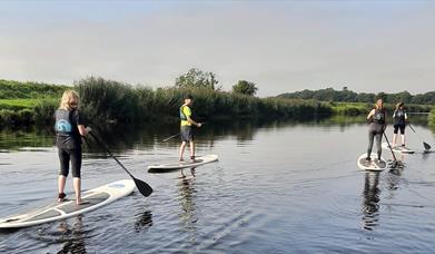 a group of people using stand up paddleboards on the River Roe