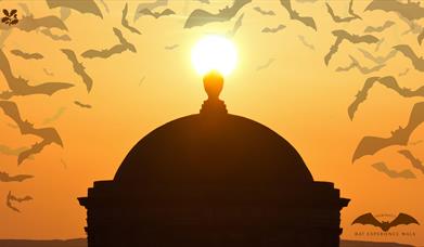 A photograph of Mussenden Temple at twilight with some superimposed generated bat images.