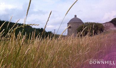 A photograph of the Walled Garden at Lion's Gate, Downhill Demesne.