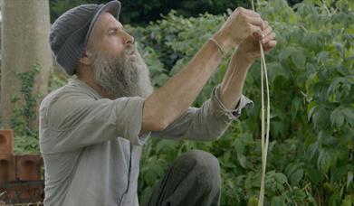 A man carefully splitting nettles. 