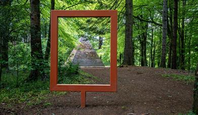 Frame at Garvagh Forest