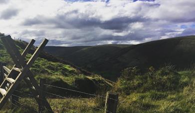 section of walking trail on ronan's way