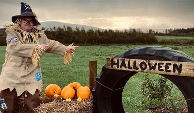 halloweenatthefarmballycastle