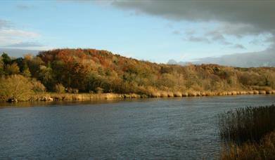 the river bann