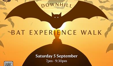 A picture of the top of the iconic Mussenden Temple  at sunset, with graphics of bats flying overhead, with text that states, 'Downhill Bat Experience