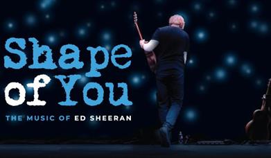 Image shows a man playing a guitar standing with his back to the camera