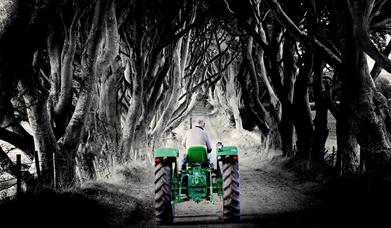 Causeway Coast Tours