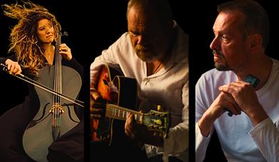 Ken Haddock Trio performers