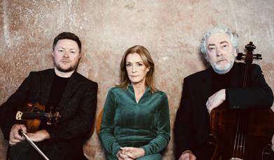 Mary Dillon, Dónal O'Connor, and Neil Martin.