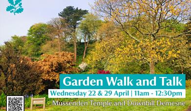 A vibrant promotional poster featuring the Bog Garden at Mussenden Temple and Downhill Demesne. The foreground shows a grassy lawn with trees in full 