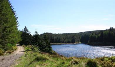 Banagher Glen