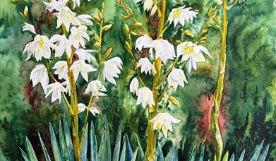 a painting of delicate white flowers growing from the grass
