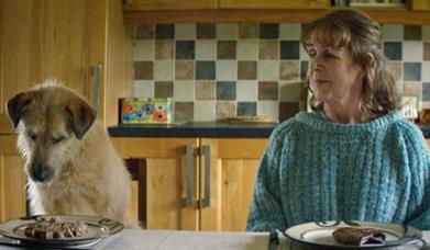 a woman and a dog sitting at a table with dinner plates in front of them. The woman is looking at the dog, the dog is looking at the plate. 