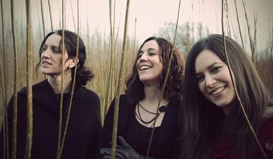 Image of the Henry girls all smiling outside among some saplings 