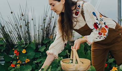 A woman picking fresh ingredients from a planter box, placing them into a woven basket.