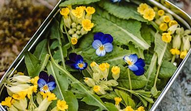 A metal tray full of various plants and flowers, mostly purple and yellow.