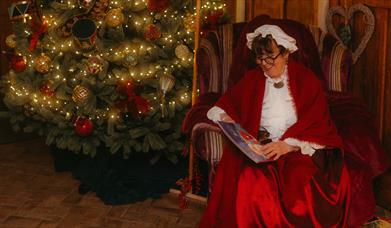 Mrs Claus sits in an armchair by the Christmas tree