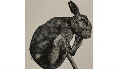 a monoprint illustration of an Irish hare in black ink against 