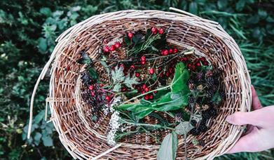 wild berries in a woven basket