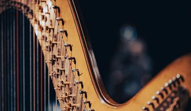 close up of traditional harp