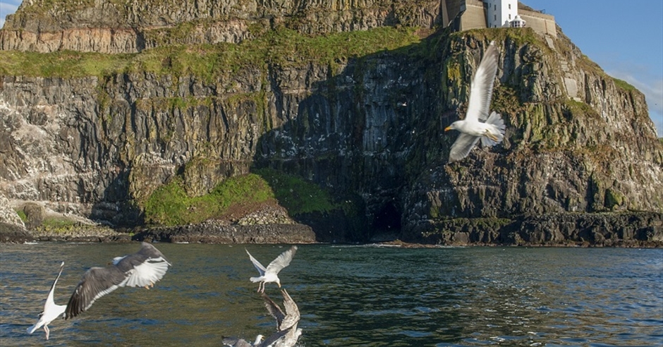 Isla de Rathlin - Wikipedia, la enciclopedia libre