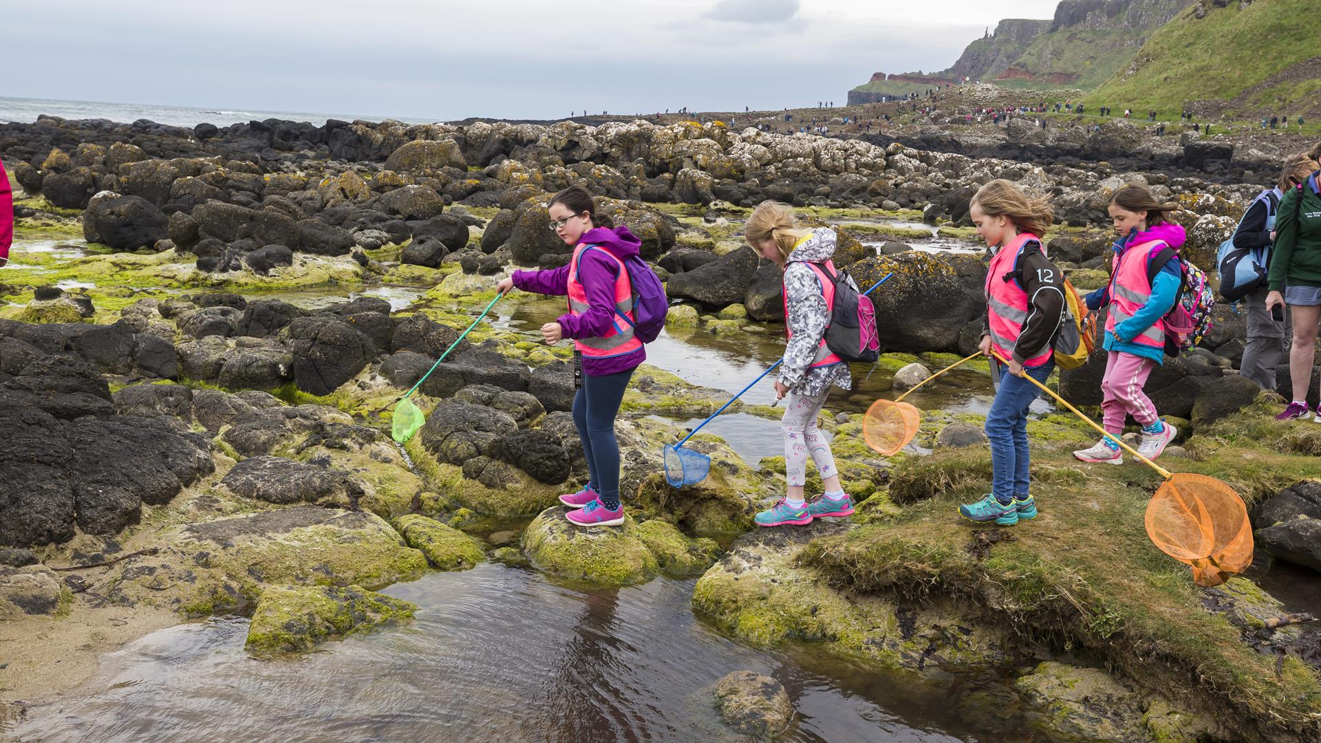 A group of children with nets and back packs Rockpooling at the Giant's Causeway