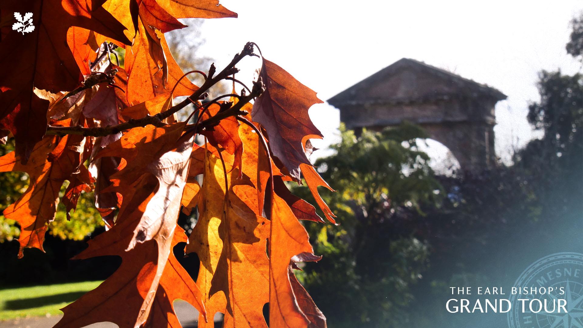 A photograph of Bishop's Gate gardens, Downhill Demesne.