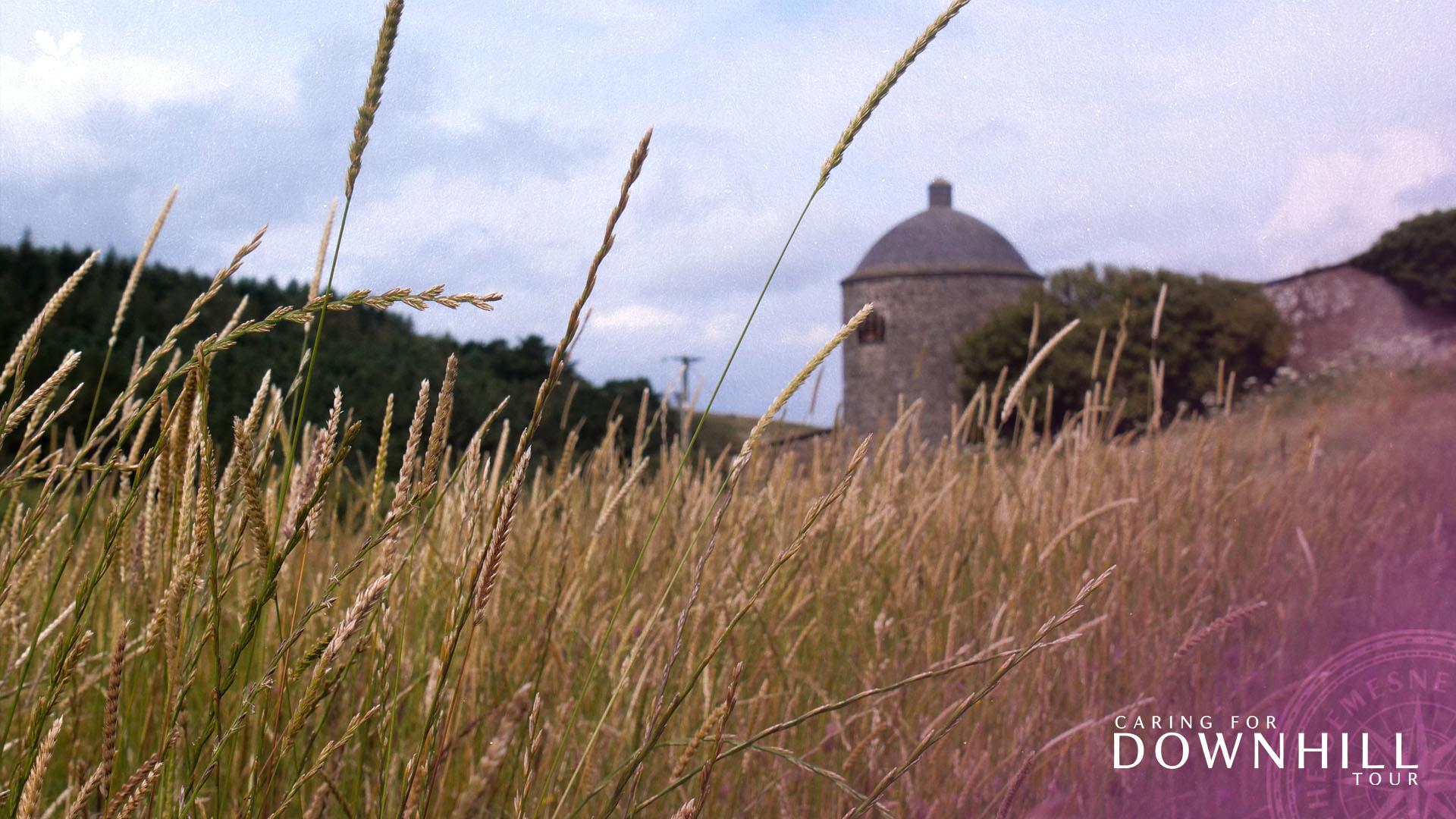 A photograph of the Walled Garden at Lion's Gate, Downhill Demesne.