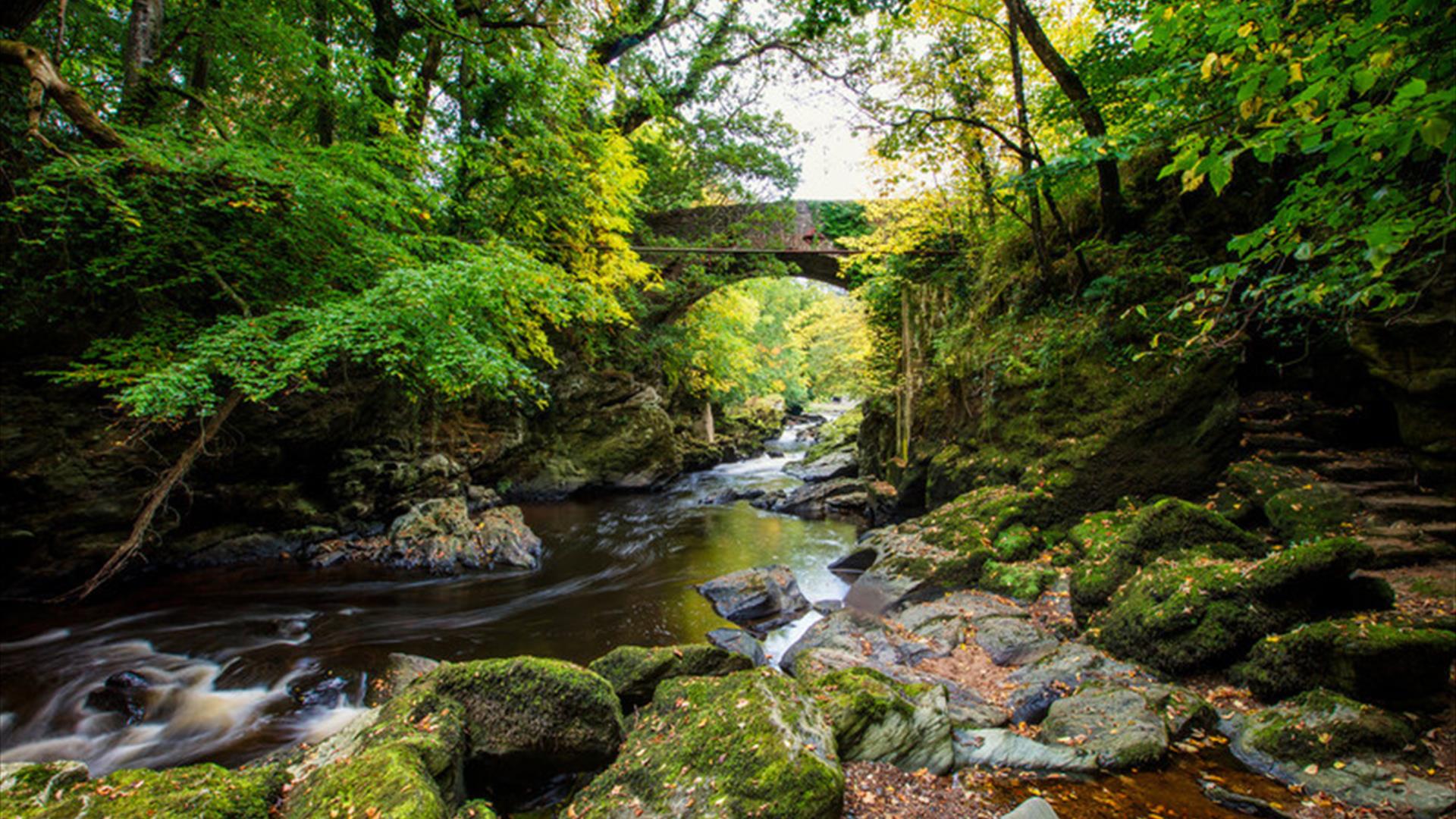 the river roe flows under a bridge through the roe valley country park