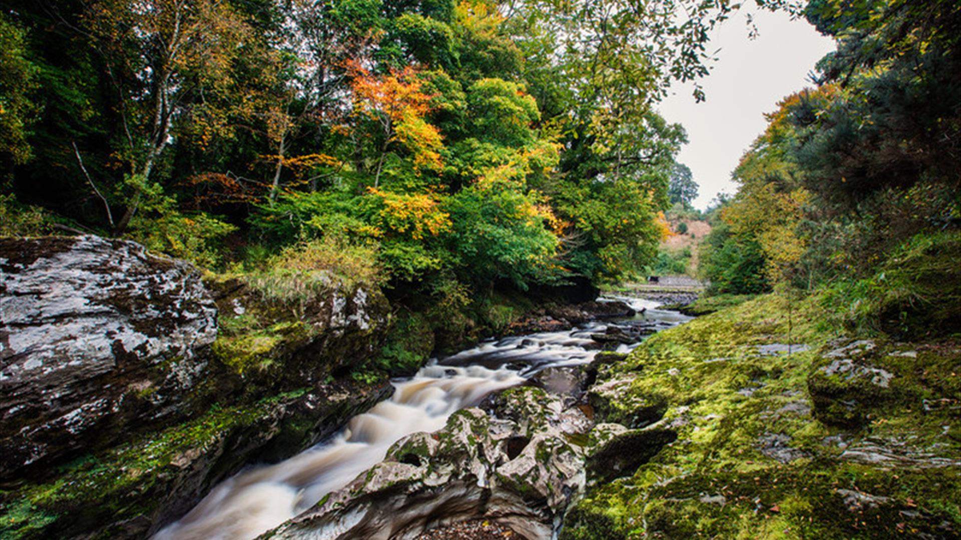 the river roe runs through roe valley country park