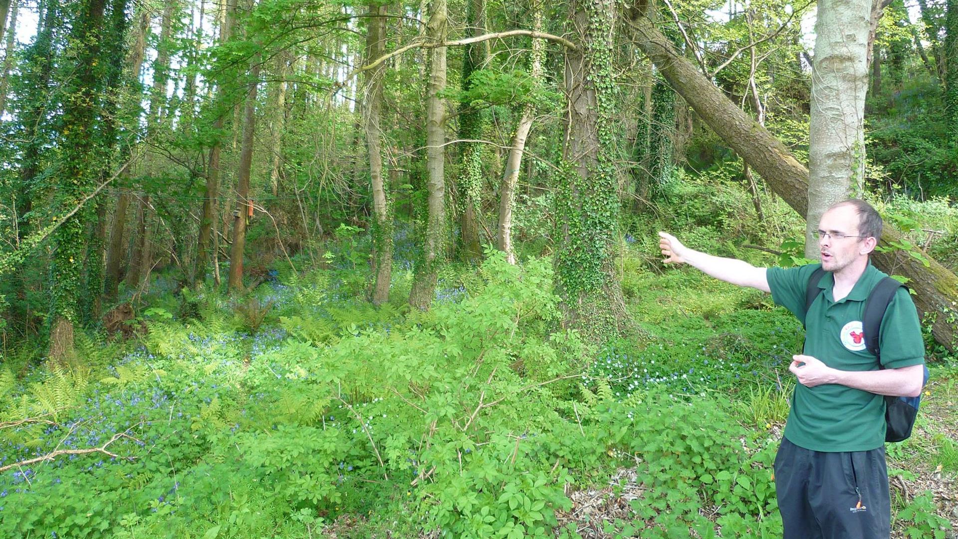 a man in a forest, gesturing to the trees behind him a man in a forest, gesturing to the trees behind him