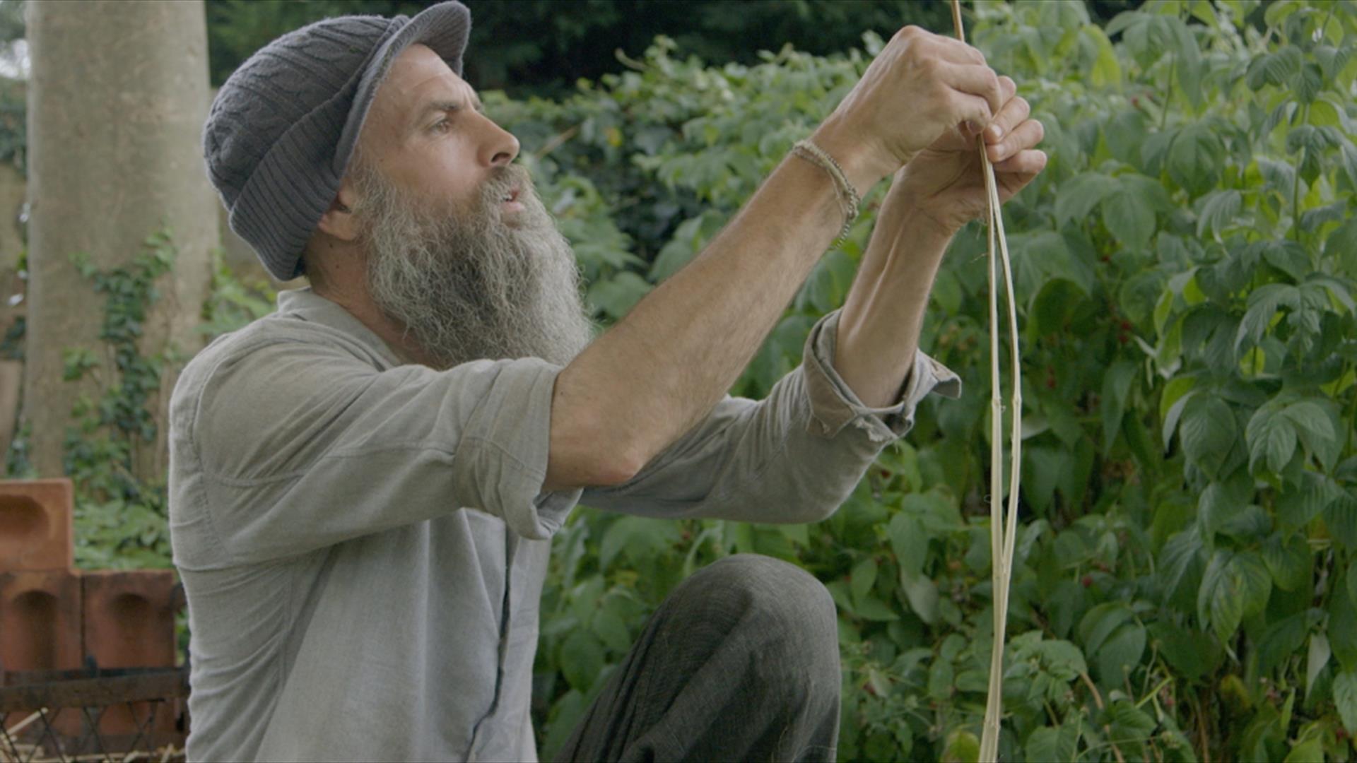 A man carefully splitting nettles.