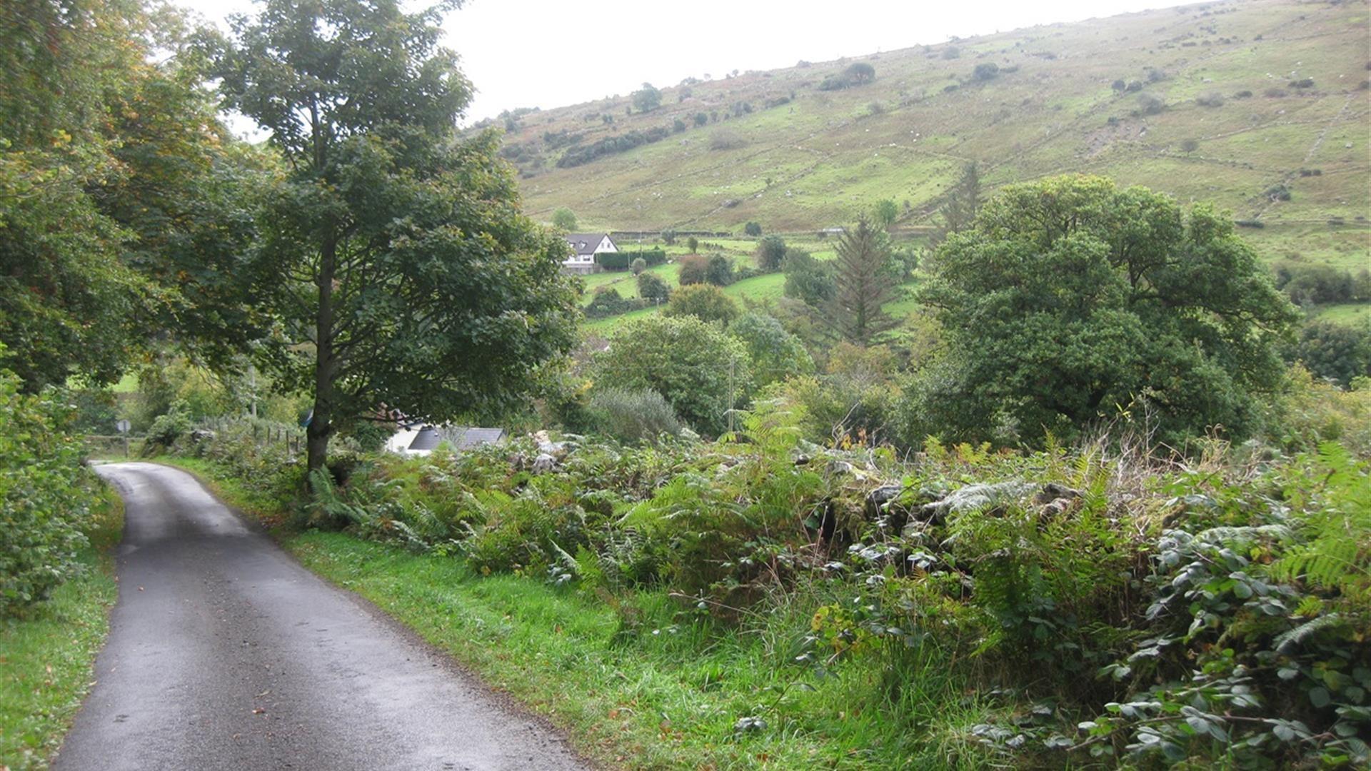 Cregagh Wood