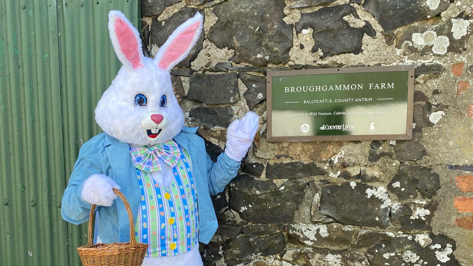 The Easter Bunny poses outside Broughgammon Farm