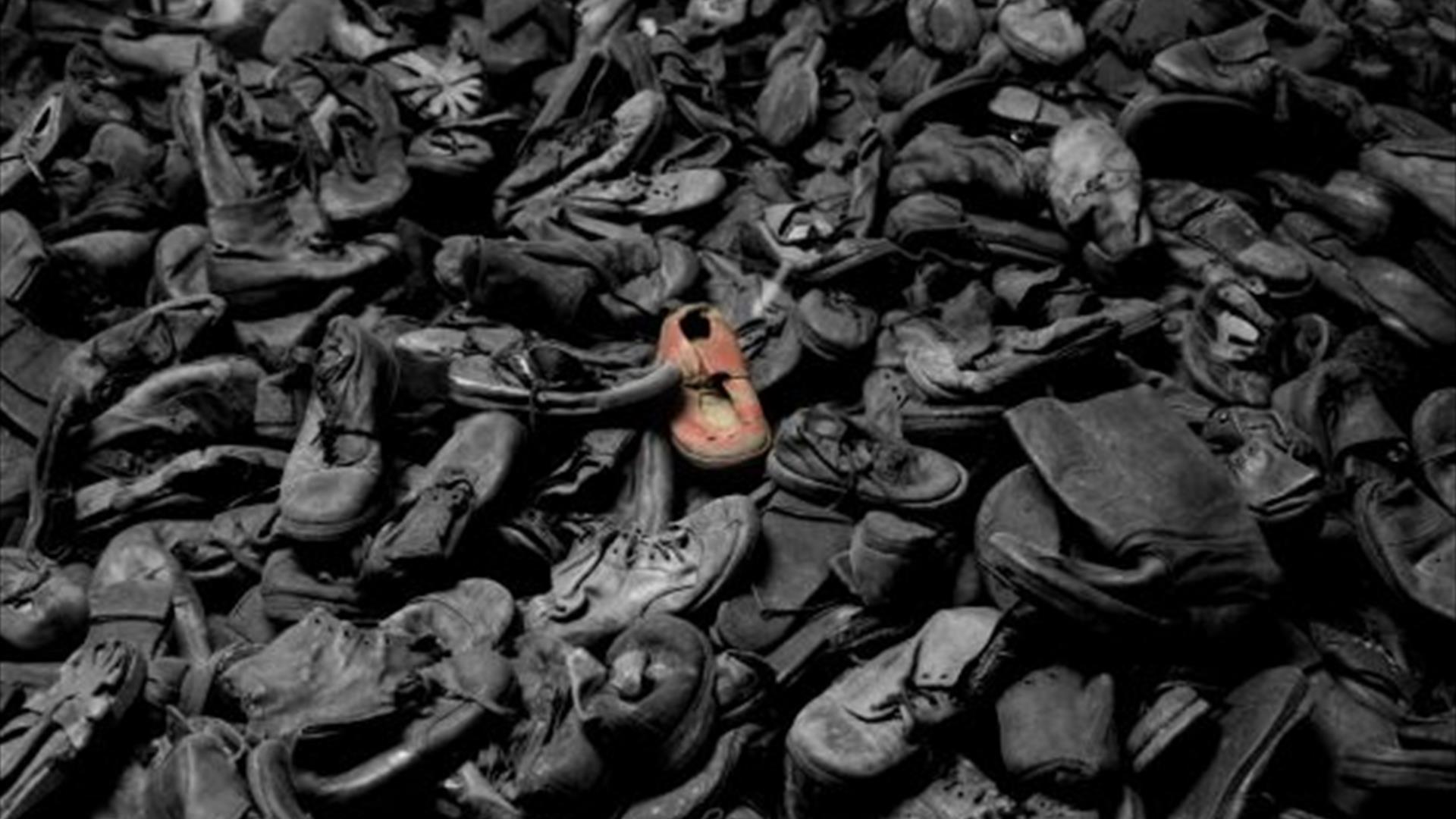 Exhibition Holocaust Memorial Day 2025 Exhibition in Limavady