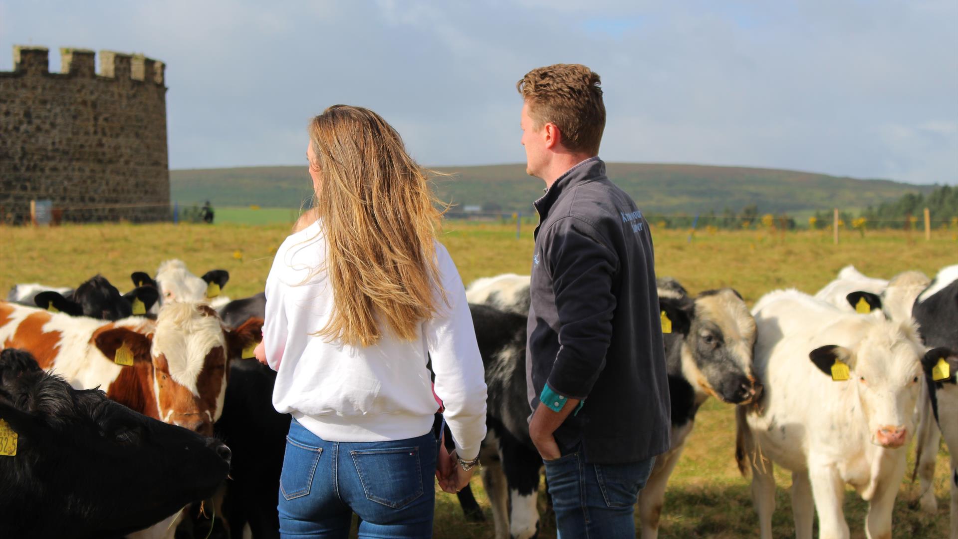 a man and woman stand in a field with a herd of cows around them