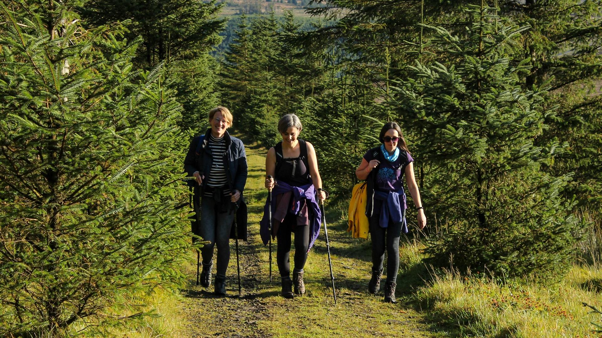 three women walk along a forest trail in the sunshine to a backdrop of the Sperrins.