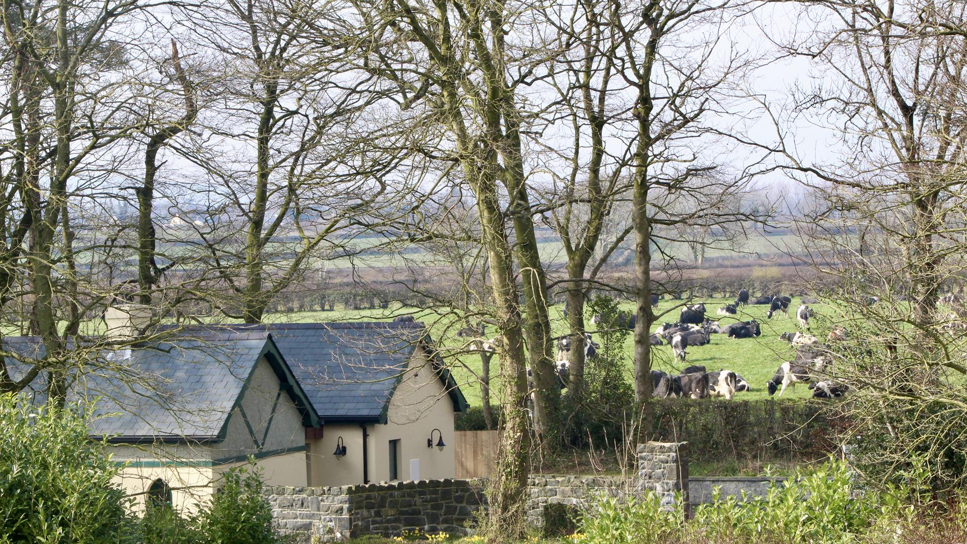 This cosy 1 bed holiday home comes with a little extra room for luggage & clothes, it can also be used as an office.