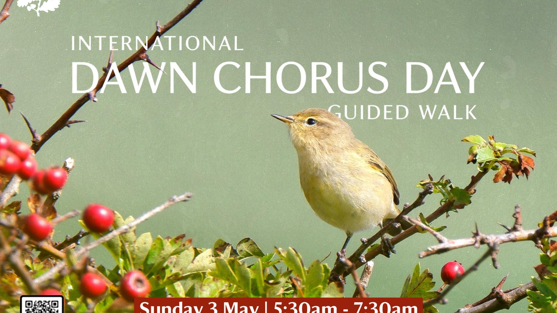 A promotional poster for an “International Dawn Chorus Day – Guided Walk" at Downhill Demesne. The background features a small songbird perched on a b