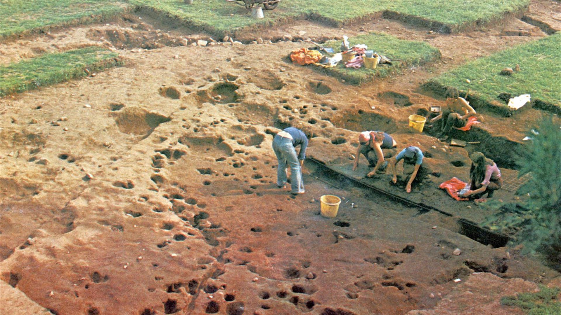 multiple people digging out patches of land for an archaeological survey