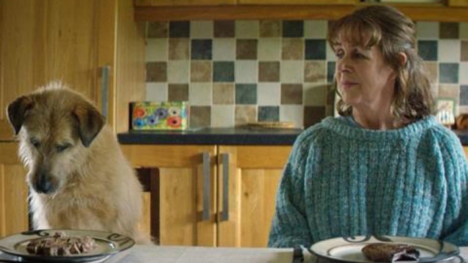 a woman and a dog sitting at a table with dinner plates in front of them. The woman is looking at the dog, the dog is looking at the plate.