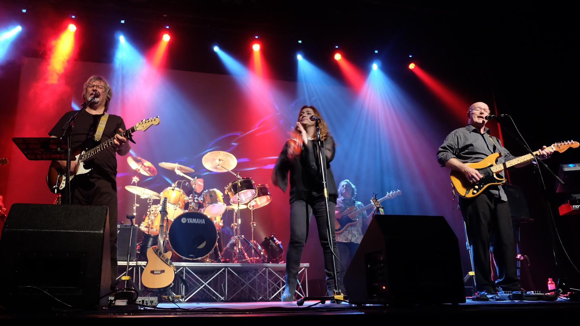 A stage photo of the illegals performing.