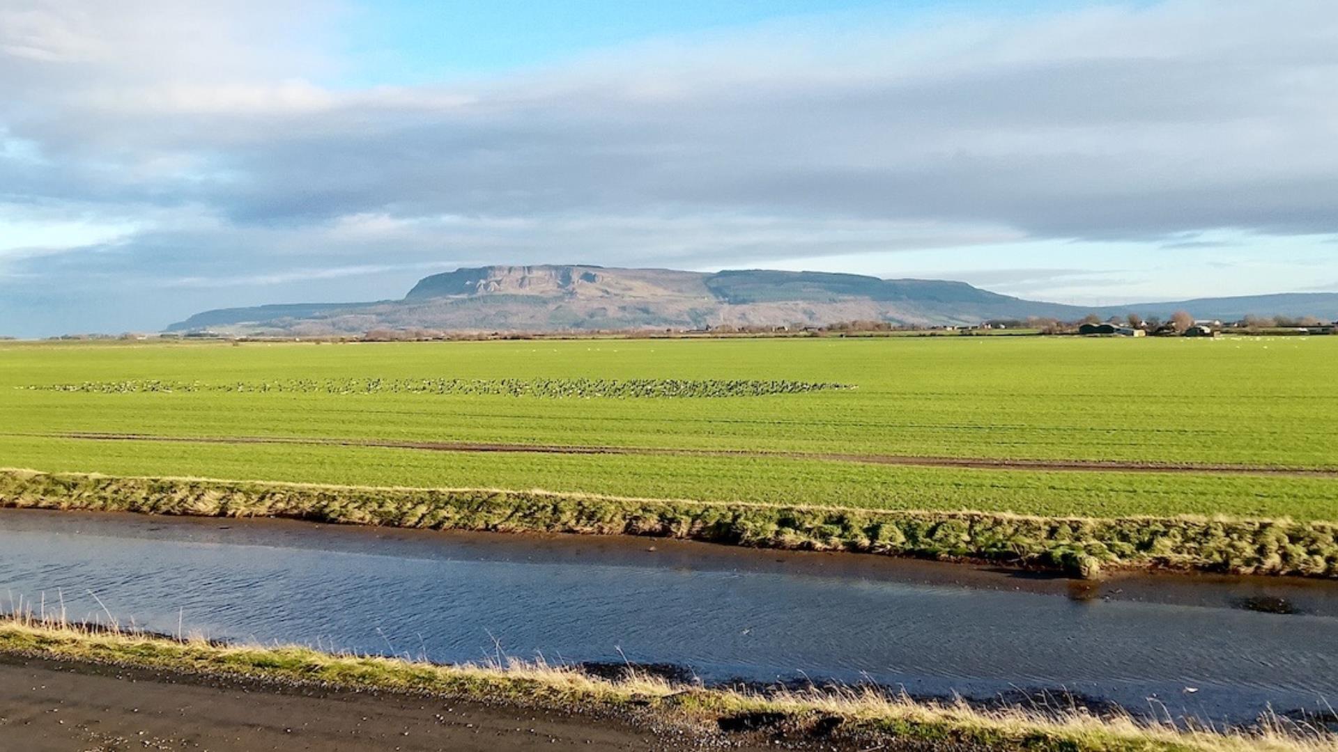 A view of green grass and a mountain off in the distance