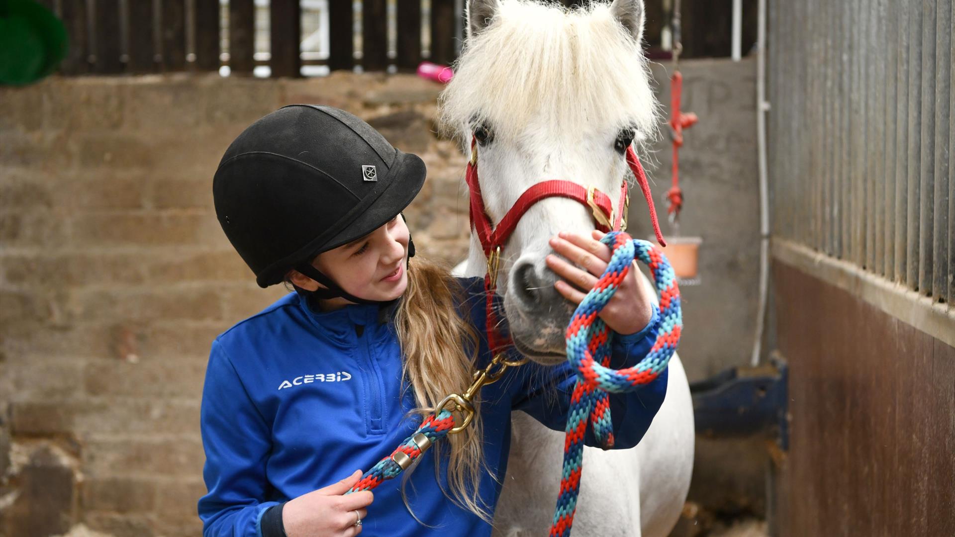 Image shows a young girl in a blue top and black riding helmet petting a white horse