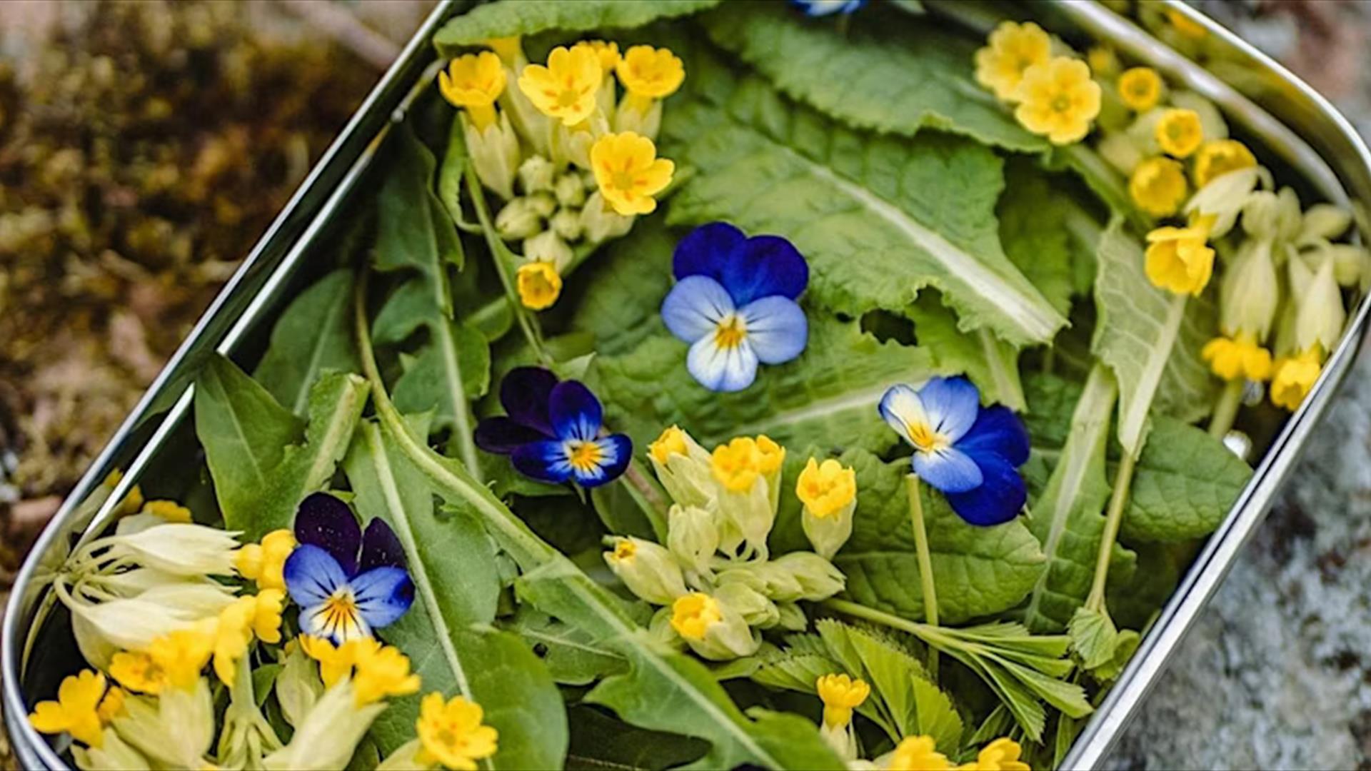 A metal tray full of various plants and flowers, mostly purple and yellow.