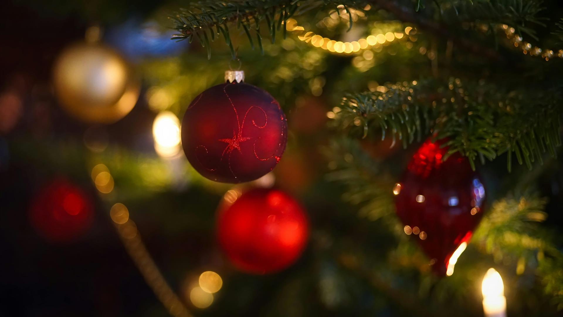 red and gold christmas baubles hanging on a tree