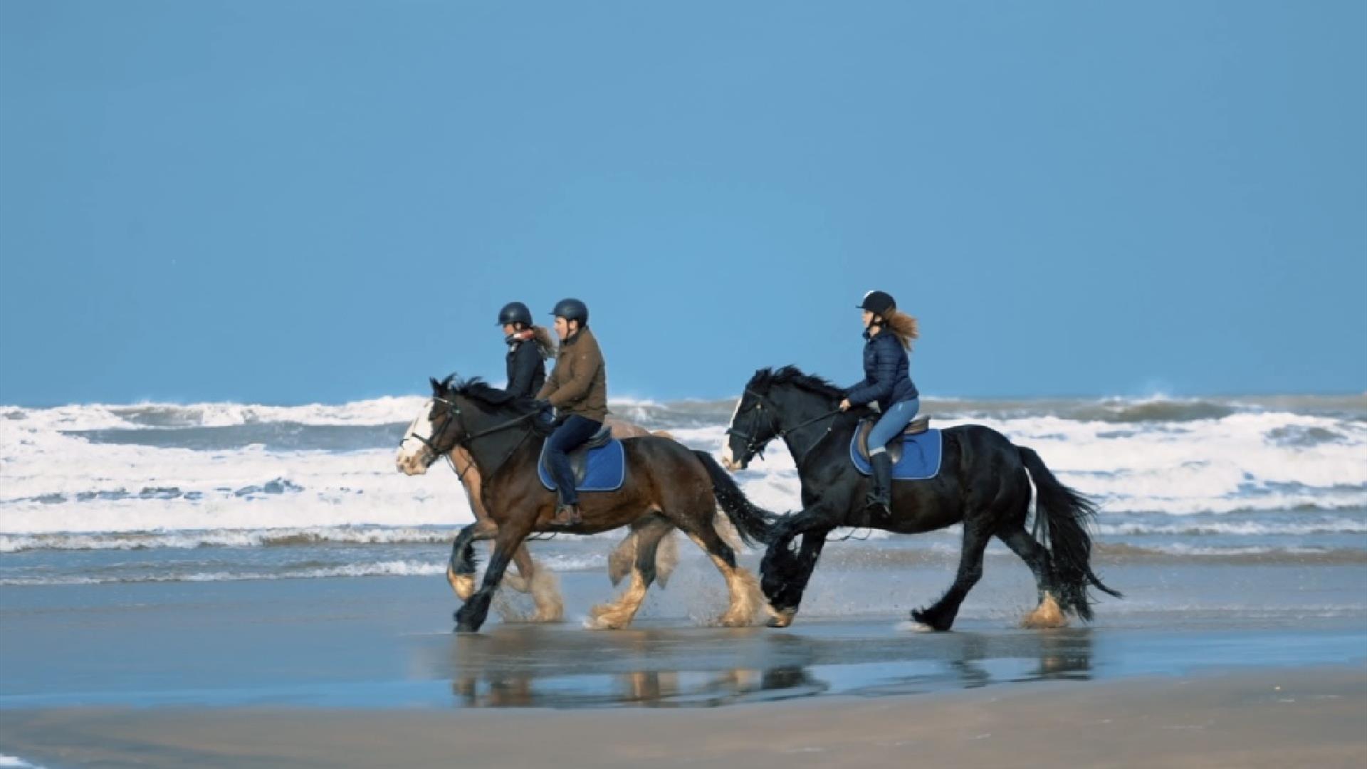 a group of people on horseback on the beach