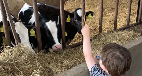 Bank of Ireland Open Farm Weekend