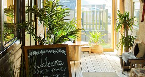 Two Twenty Coffee House