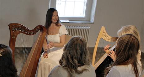 Learn to Play the Irish Harp Workshop